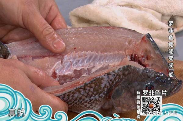 不开膛破肚就能把鱼收拾的连刺都不剩?顶级大厨又透露了啥绝招!