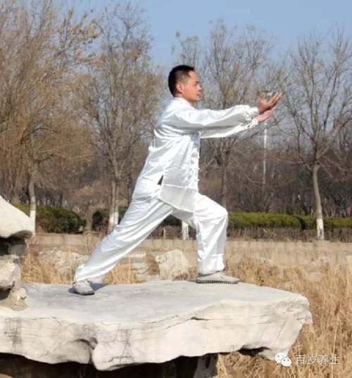 高级功:按照初级功所学循经导引,采气,行气,排病气,引气归元等动作