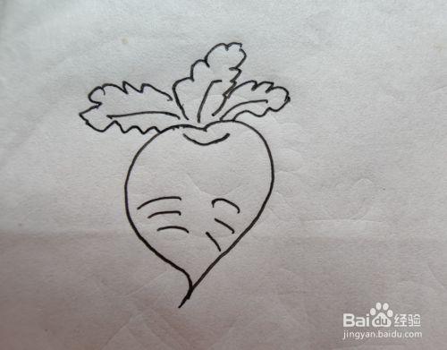 简笔画的水萝卜怎么画?