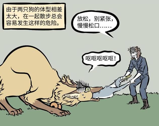 非人哉:赛太岁被观音变成女儿身后,经常和哮天一起