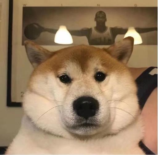 羵5因子2021-07-19 19:33:55