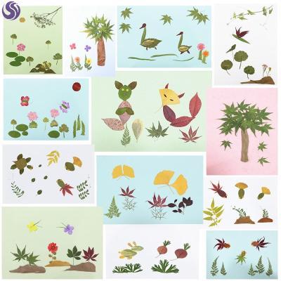 秋天材料儿童贴画标本粘贴画手工包干真树叶树叶画花幼儿园小学生