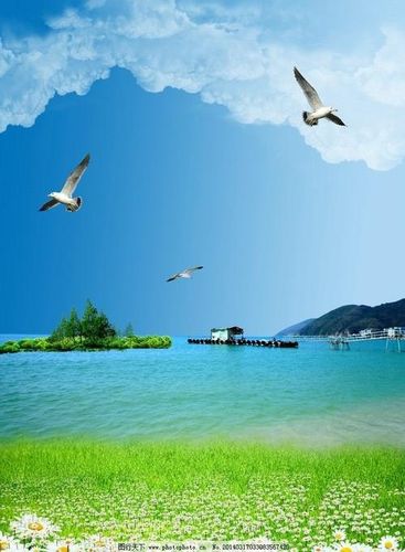 手机壁纸蓝天白云