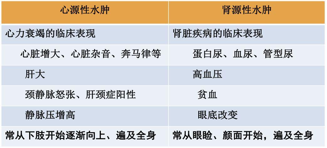 水肿病因——肝源性