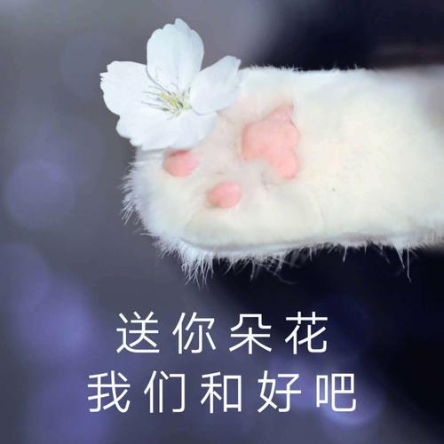 送你躲花我们和好吧躲花我们表情