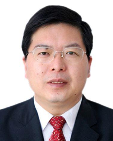 陈平当选山东省菏泽市人民政府市长图简历