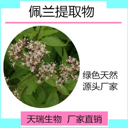 佩兰粉 佩兰浸膏 现货厂家