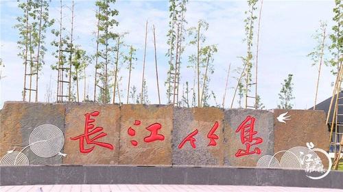 做好"竹"文章 800亩长江竹岛美如画