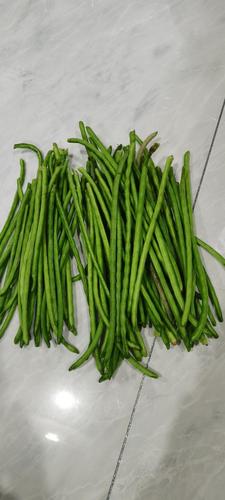 一种不常见的豆_百科找不到的品种_八月豆