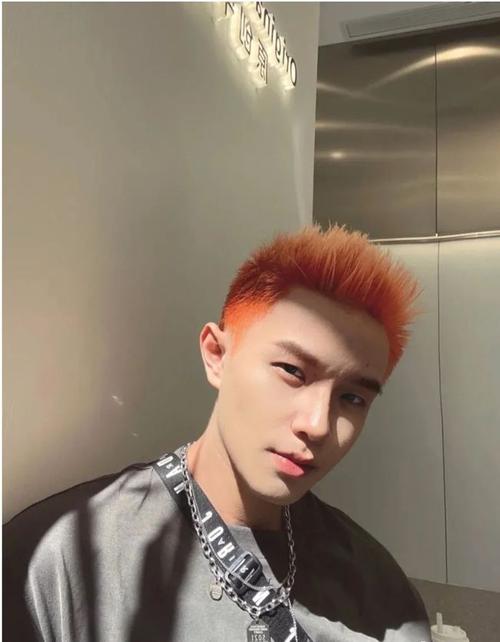 第四种流行烫染男士发型