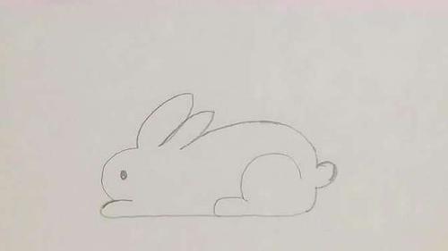 今天教大家兔子怎么画简单又可爱,小朋友你们学会了吗