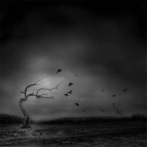 知是行之始 为意境而拍——访写意摄影师费晓阳