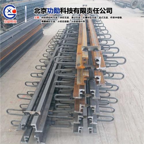 赤峰定做桥梁伸缩缝参数图集