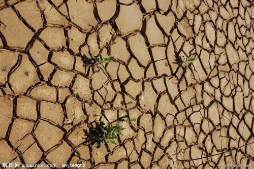 干枯大地简笔画
