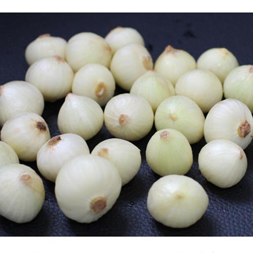 2斤5苦藠四川新鲜团蒜小蒜团葱野苦茭野葱头圆蒜小头蒜小根蒜苦蒜