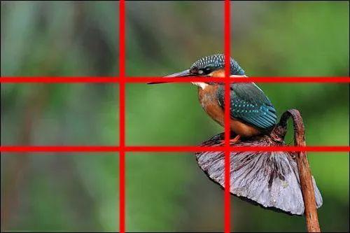 摄影中,如何用好黄金分割构图法?