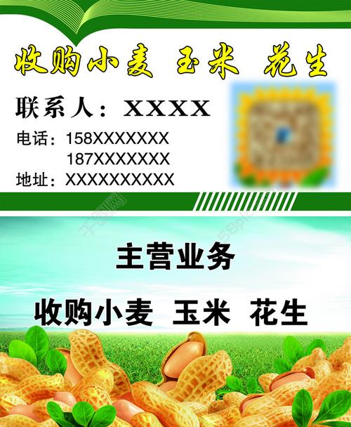 收玉米名片