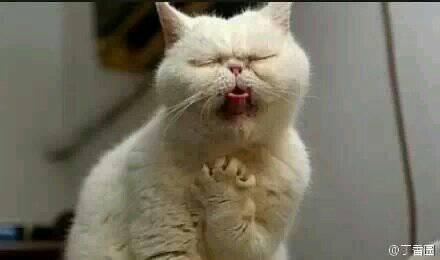 谁有和这个图片类似的小表情?单手托下巴的