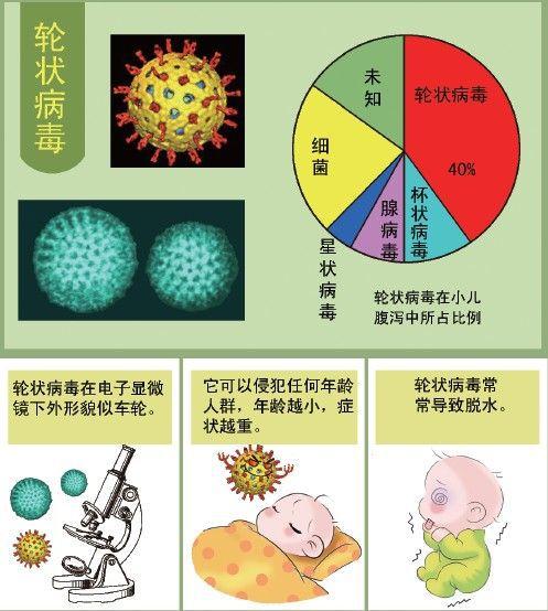医生:轮状病毒传染性极强