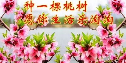 早上好,植树节,祝福送上!