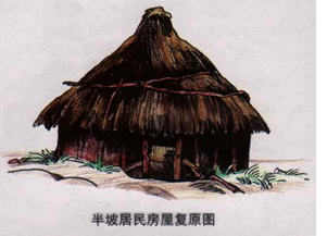 根据图片所提示请你写出半坡"半地穴式"制作过程,并说明他们过着什么