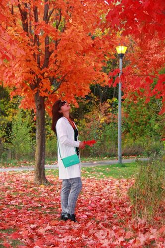 家门口美丽的枫景_韩小鱼_新浪博客