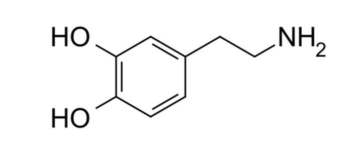 多巴胺分子