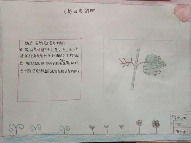爬山虎的脚图画式理解重点段落学生作品