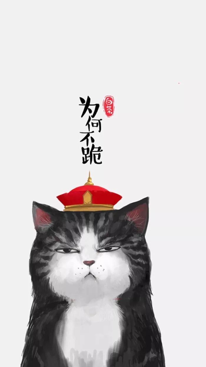 傲猫吾皇和它铲屎官的宇宙