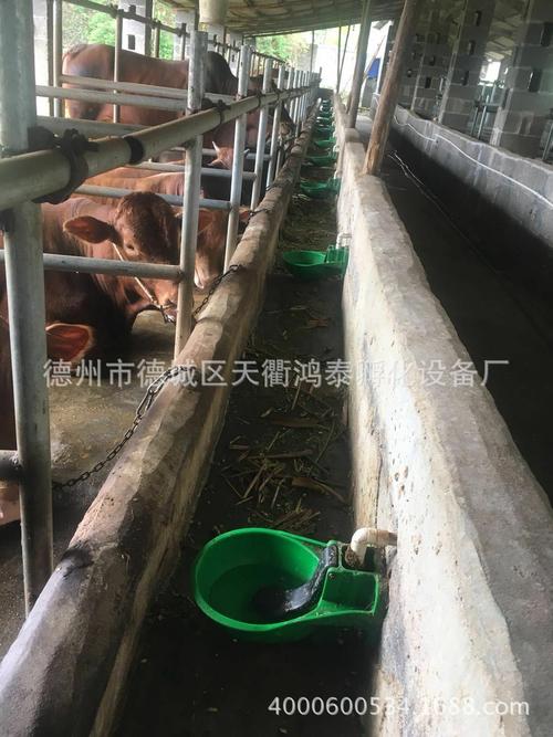 加厚牛用饮水碗猪自动饮水碗 牛用饮水器铸铁喝水碗塑料饮水设备