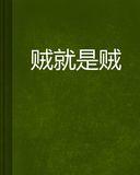 贼就是贼图片_百度百科