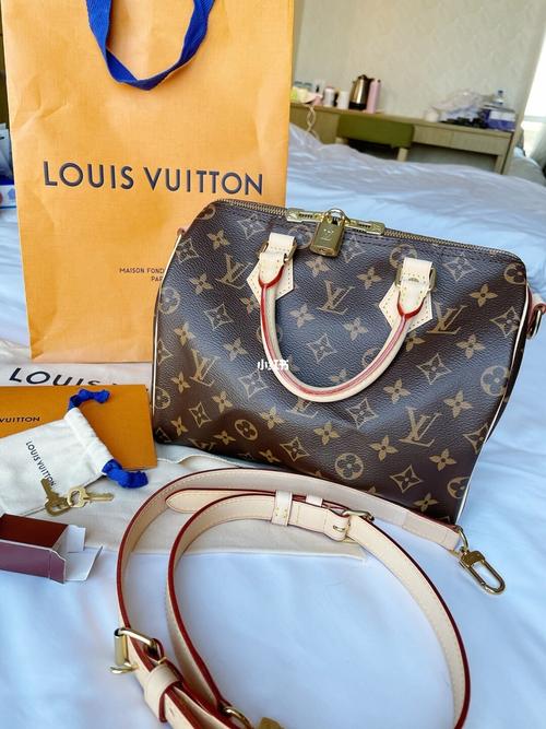 lv入门包包如何选 |speedy25经典老花枕头包_枕头_古驰怎么样_路易