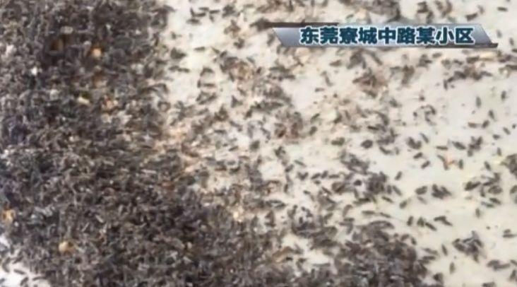 看着是不是很恶心?