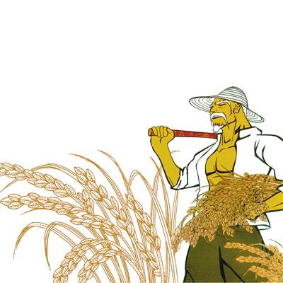 江西老凌种粮记