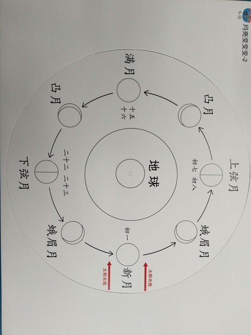需要注意的是,给月相背景图涂颜色时一定要根据月亮的变化规律来进行