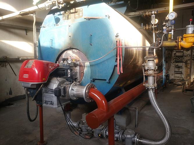 ds610/e fgr道森超低氮燃烧器