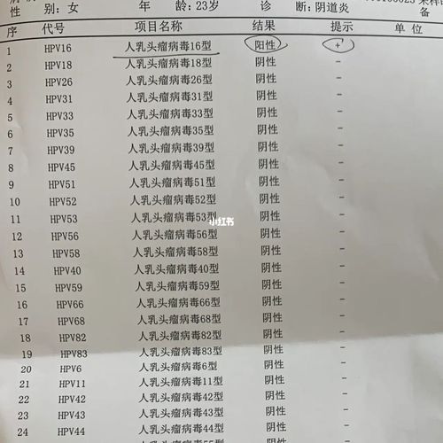 23岁 感染了hpv_hpv_性生活_增强抵抗力_阴道炎_医疗健康_医疗健康