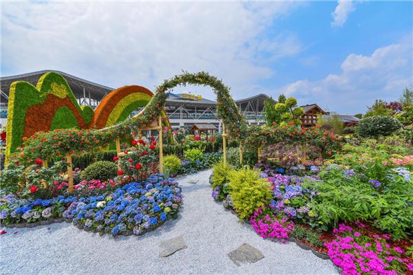 拭目以待!2021"花漾蓉城"成都花展即将启幕