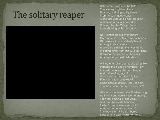 the solitary reaper analysisppt
