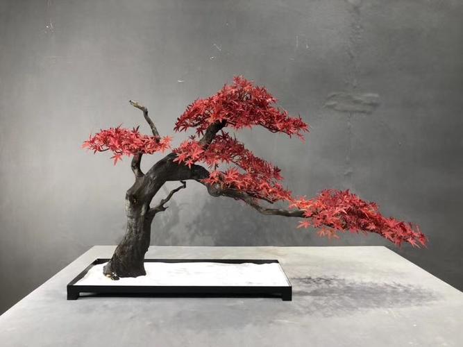 仿真小枫叶仿真松树枝景观枫树枝假松树仿真大美人松罗汉松金钱松