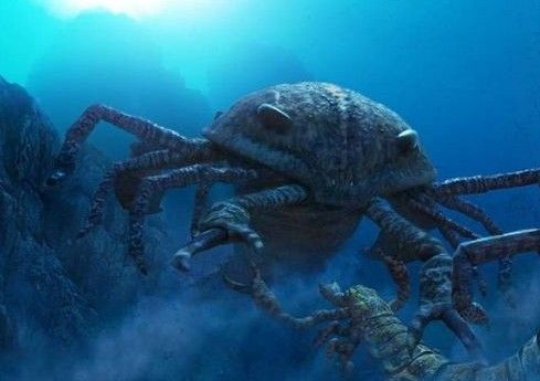 展开全部 海蝎子(翼鲎)