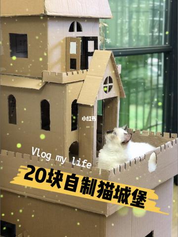 自制猫房子