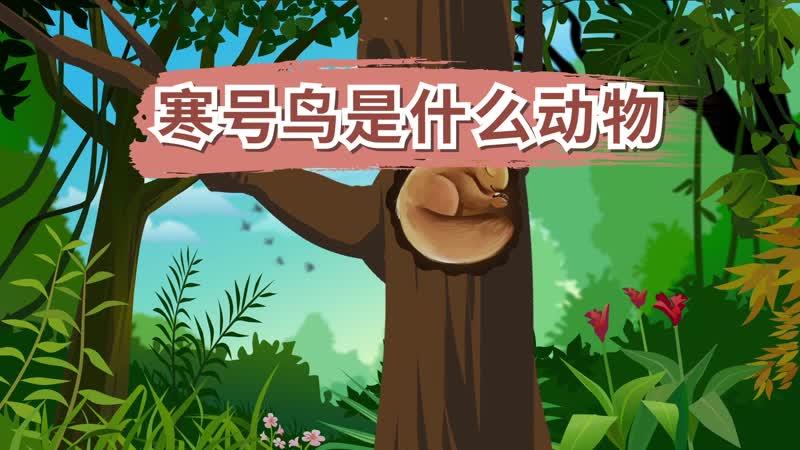 寒号鸟是什么动物寒号鸟灭绝了吗