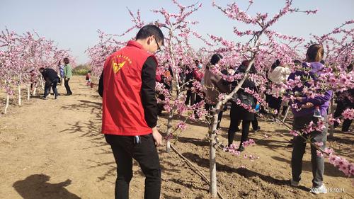 叶县第三届(燕山湖)桃花节暨2020赏花季启动