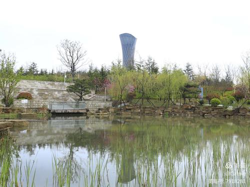 十五层向西望去有一座掩映在高楼中的福莱山公园,公园里有座福莱塔