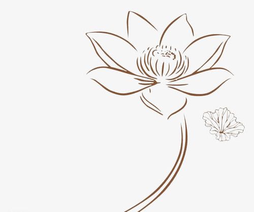 关键词 : 手绘花,线条,手绘,线稿