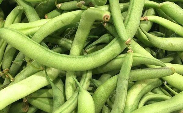 四季豆没熟中毒怎么办?