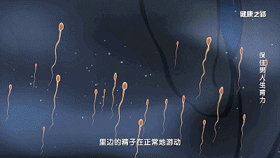 男性的生育力和这几点密切相关,一定要注意!