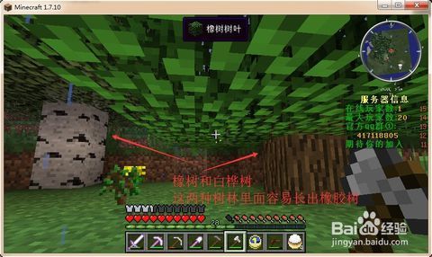 我的世界橡胶树在哪?怎么采集制作橡胶?用途