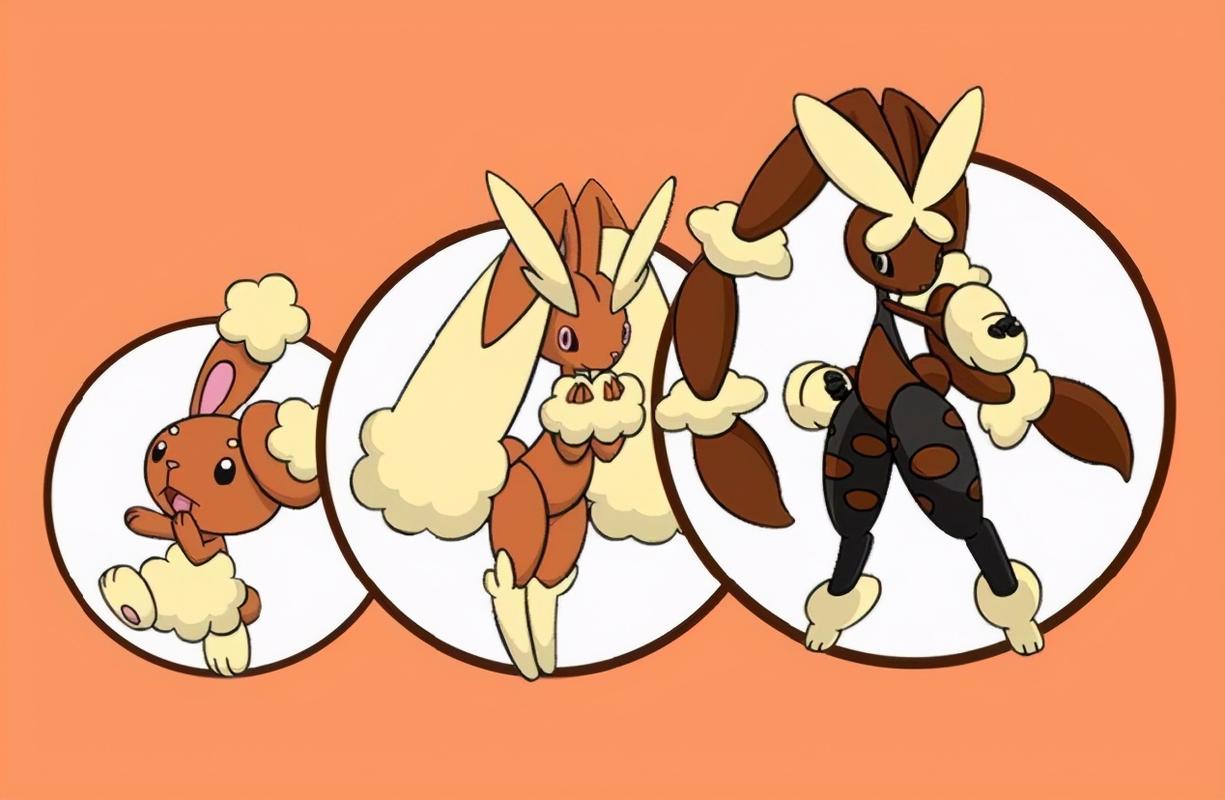 除了穿着熊都是特殊形态!_穿着熊_弗拉明戈_垂耳兔